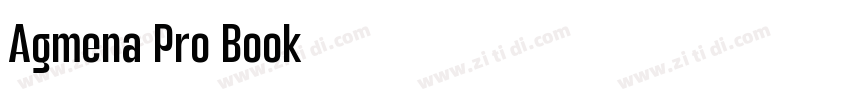 Agmena Pro Book字体转换